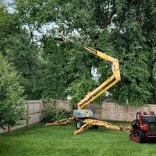 Best Tree Trimming and Pruning  in East Pasadena, CA